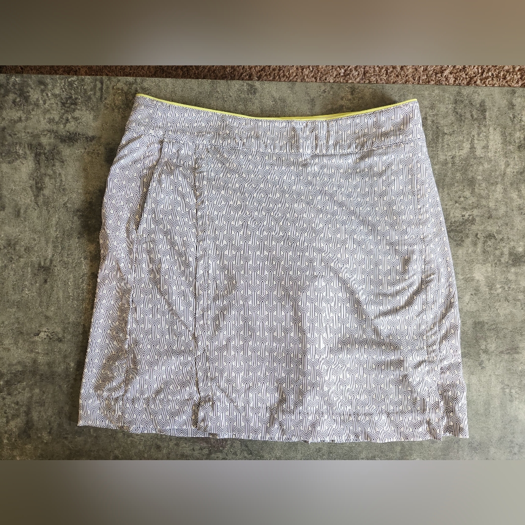 Fairway Greene Skort 4 Blue White Green Trim Polyester Spandex Nwot Fairway Greene Skort 4 Blue White Green Trim Polyester Spandex Nwot